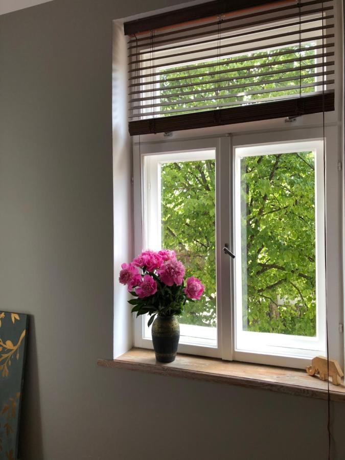 Bohemian Apartment In The Heart Of Old Ventspils City 外观 照片